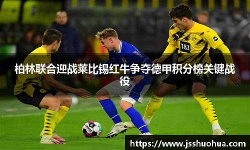 mksport体育