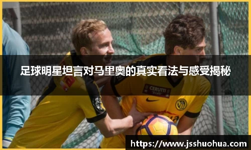 mk体育官方网站